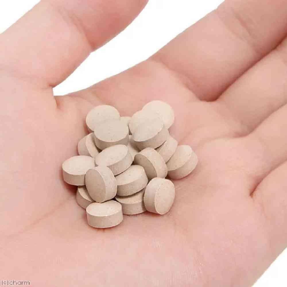 DHC Gut Health 60 Tablets