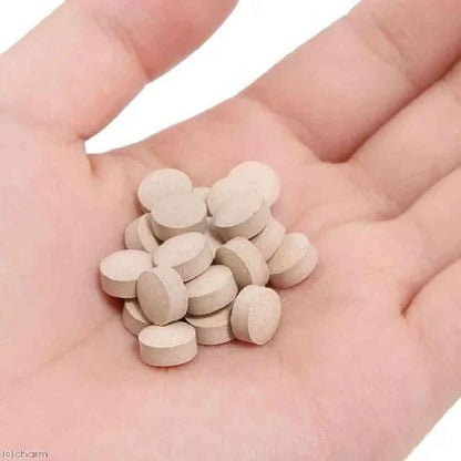 DHC Gut Health 60 Tablets