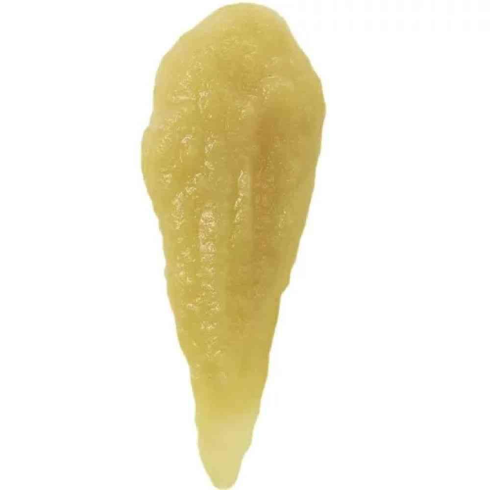 DHC Dog Kidney Support Puree 5g x 10 Sticks