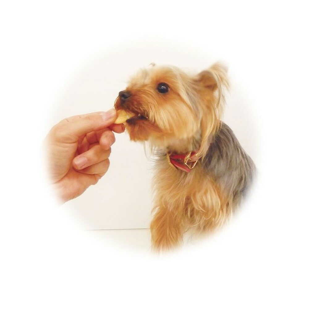 Taurus Five Grain Dog Snacks 64g