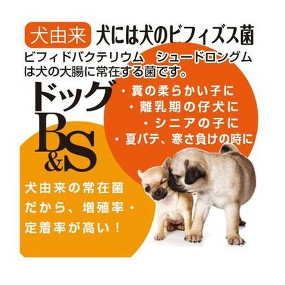 Taurus Dog B&S 1g×12 Packs