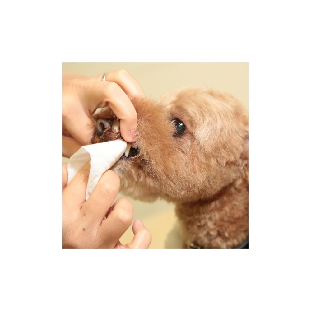 Taurus First Toothbrush Wipes 30 Sheets