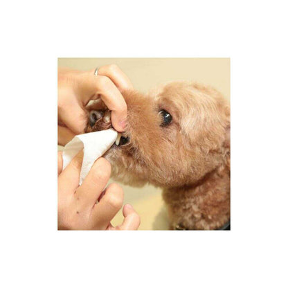 Taurus First Toothbrush Wipes 30 Sheets