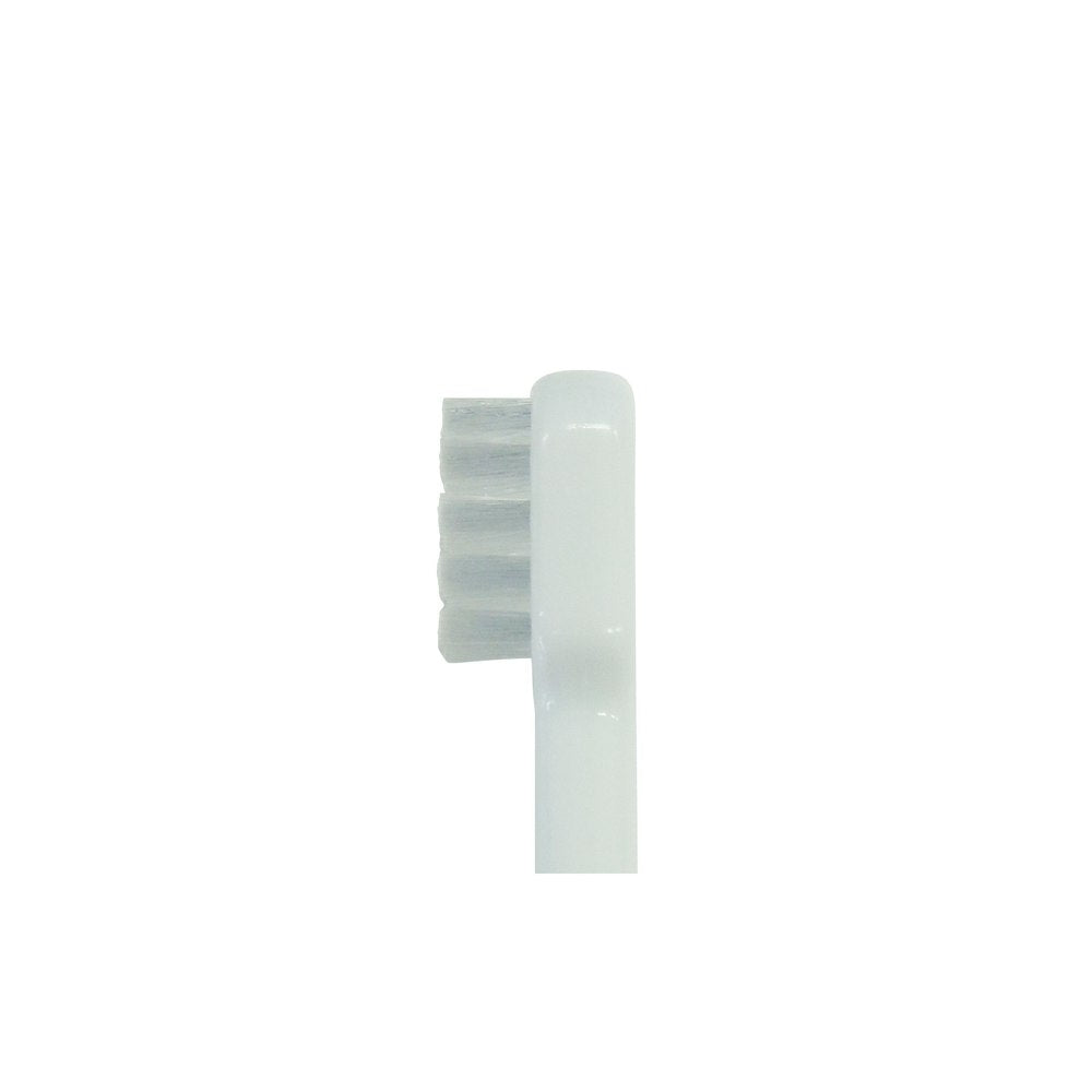 Taurus Dent Trainer for Cats 1 Piece