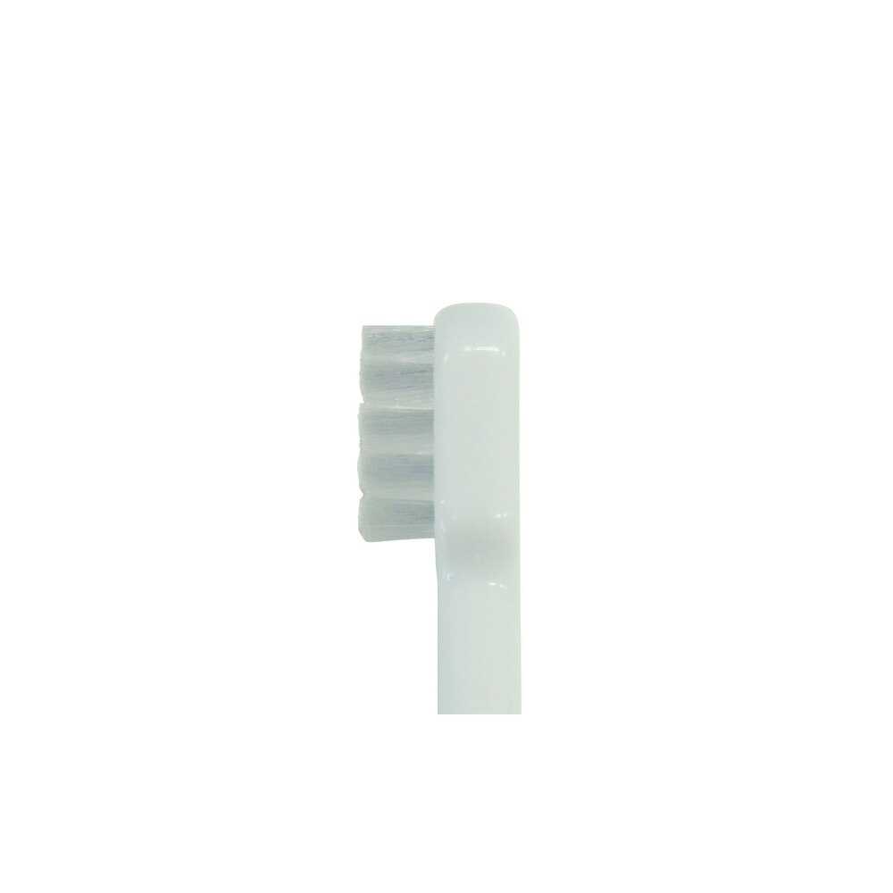 Taurus Dent Trainer for Cats 1 Piece