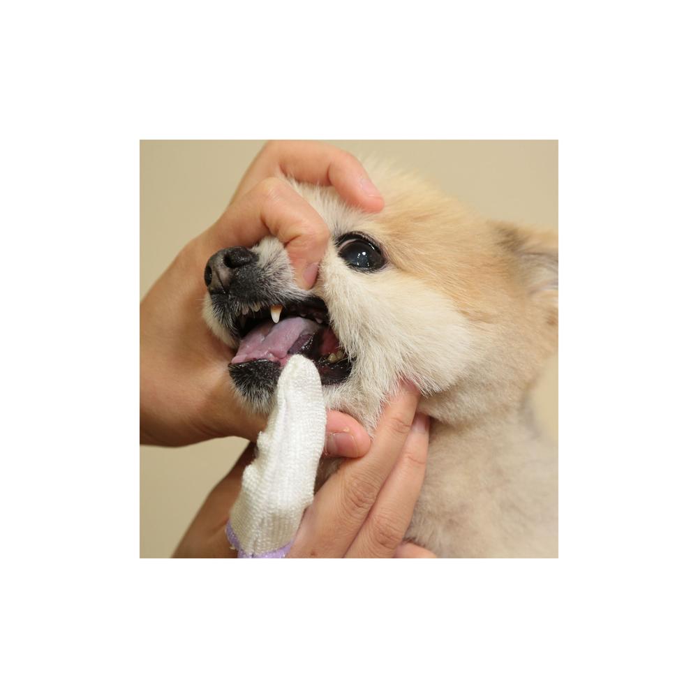 Taurus Finger Toothbrush Slim 2 Pieces
