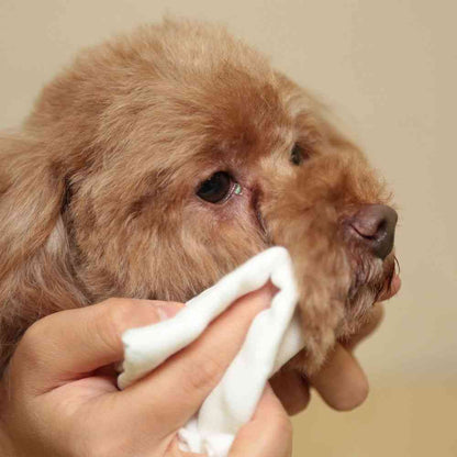 Taurus Tear Stain and Ear Cleaner 50ml