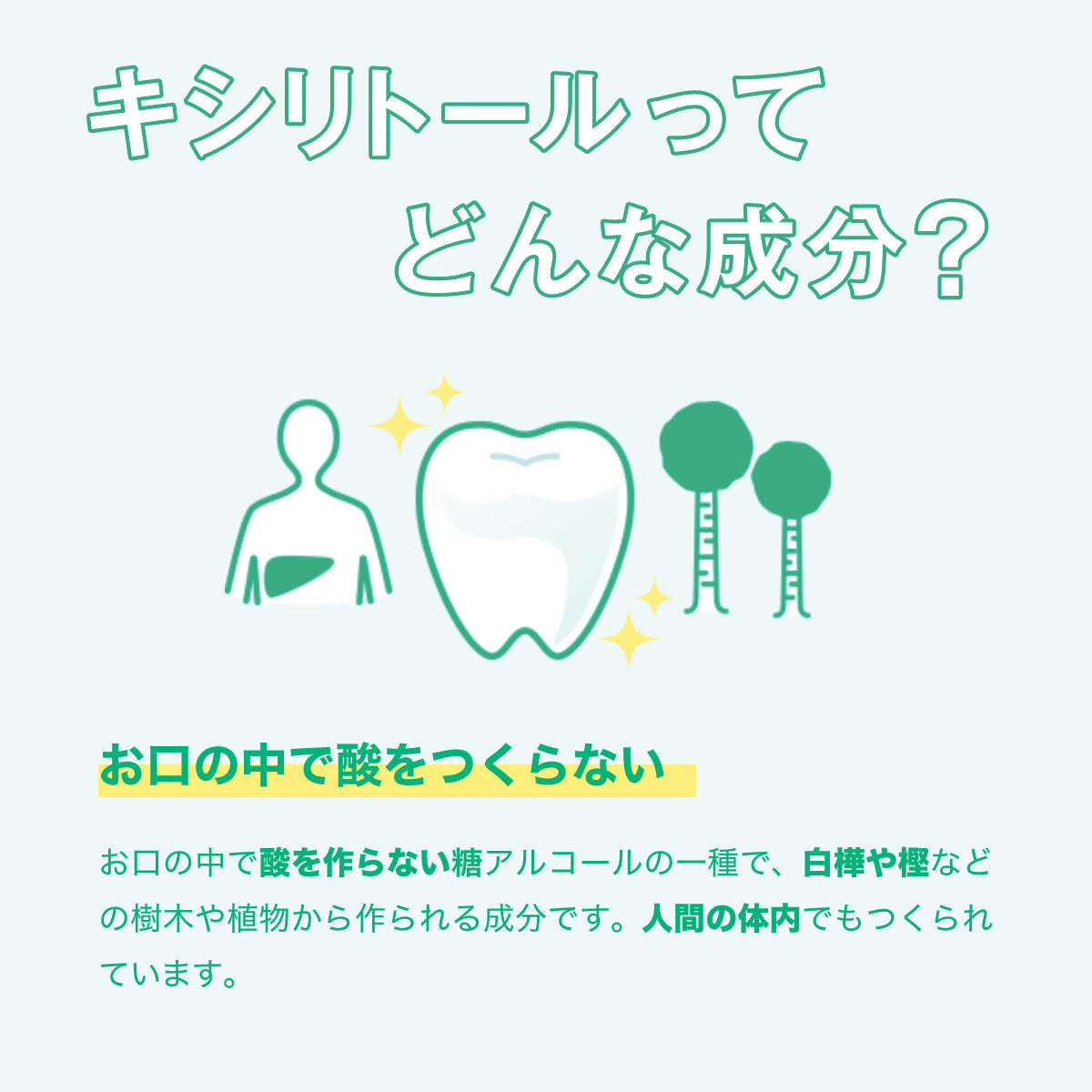 Lotte Xylitol Gum Lime Mint 14 Pieces