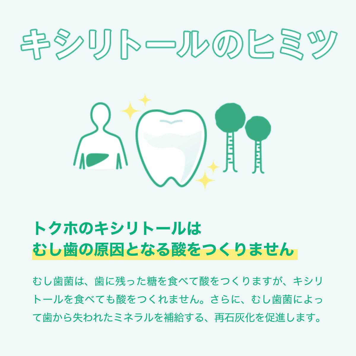 Lotte Xylitol Gum Lime Mint 14 Pieces