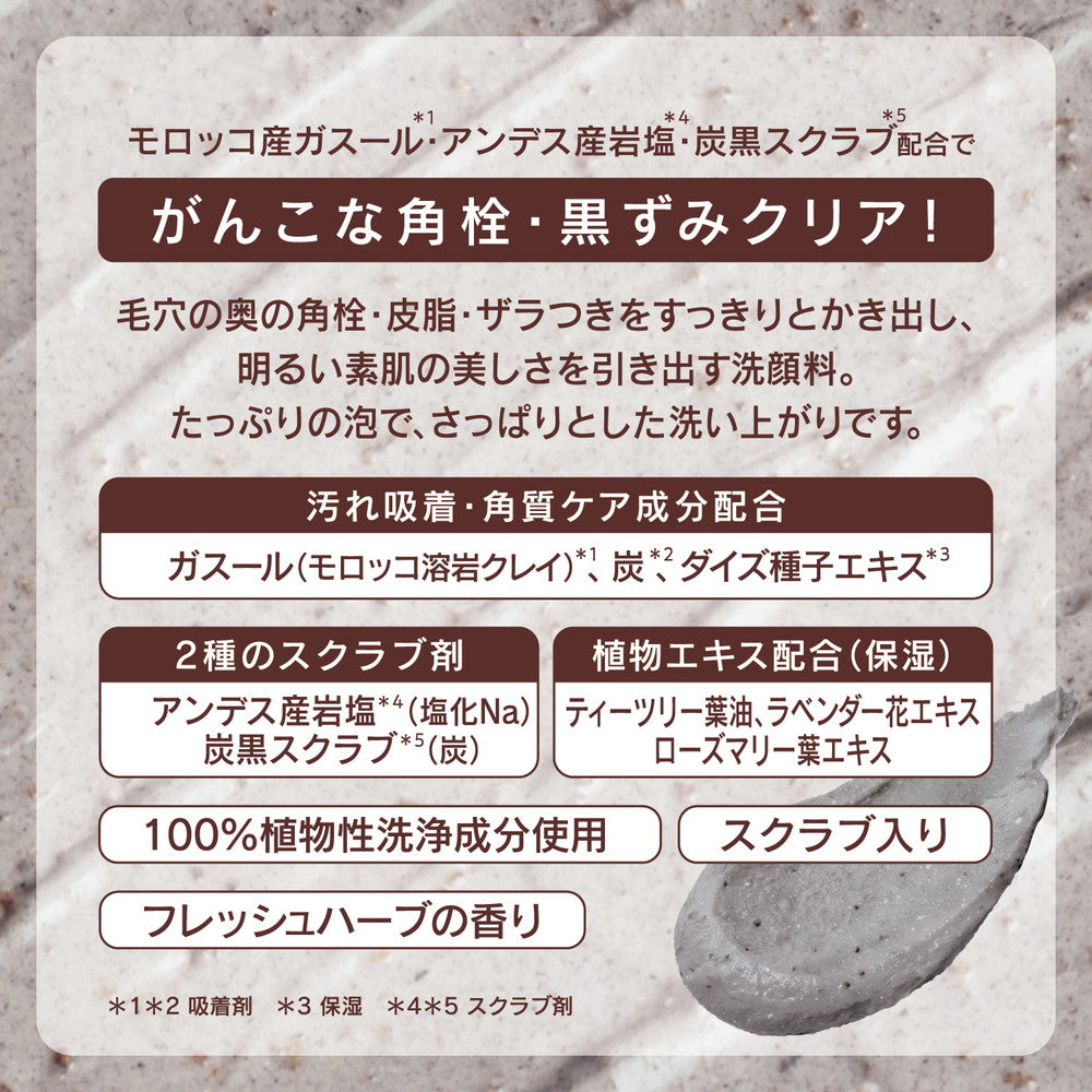 BCL TsuruRi Cleansing Paste Ghassoul 120g