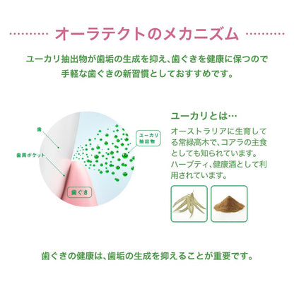 Lotte Oraltect Gum Clear Mint 21g (14 Pieces)