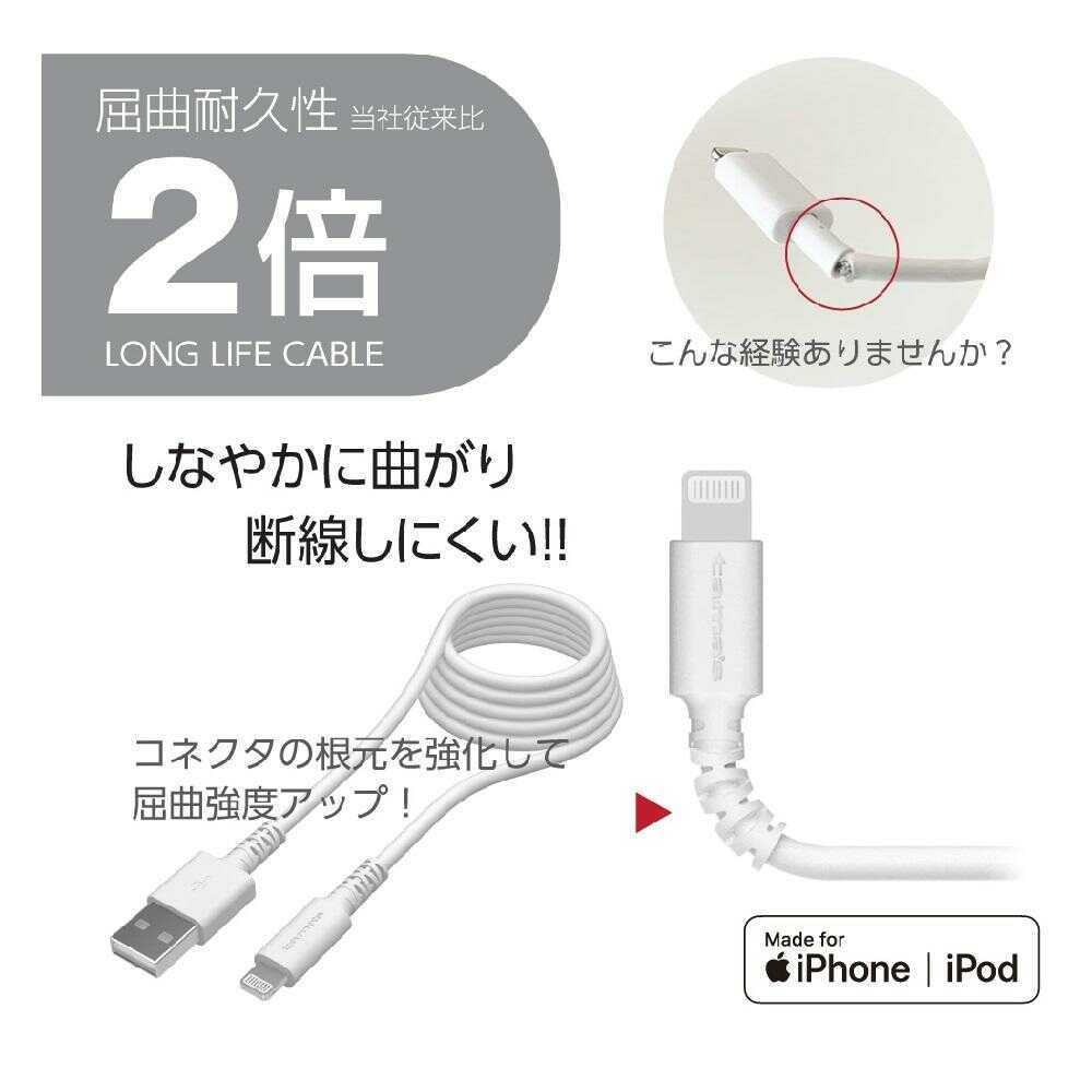 Tama Electronics Wall Charger 2.4A with Lightning Cable 2.0m TA62UL20W