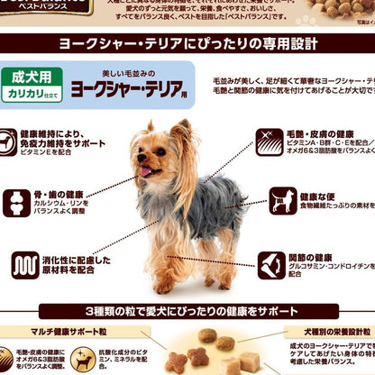 Best Balance Yorkshire Terrier Formula 1.8kg