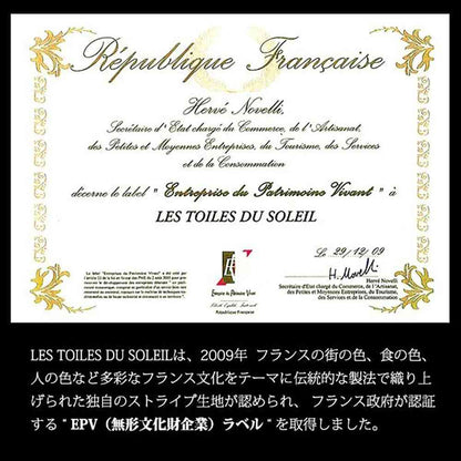 LTDSJapon Imabari Towel Handkerchief Citronelle Jonquille Acid Turquoise 1 Piece