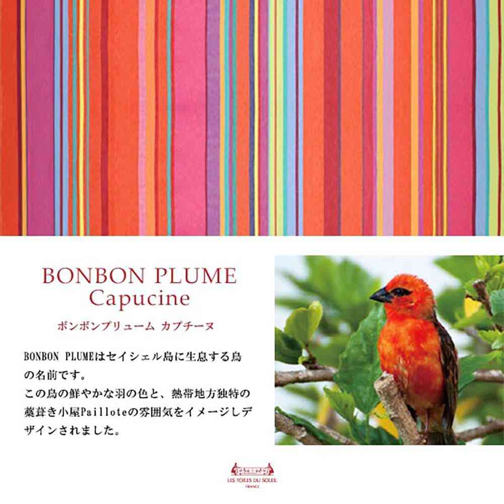 LTDSJapon Imabari Towel Handkerchief Bonbon Plume Cappuccino 1 Piece
