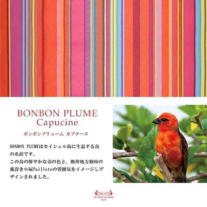 LTDSJapon Imabari Towel Handkerchief Bonbon Plume Cappuccino 1 Piece