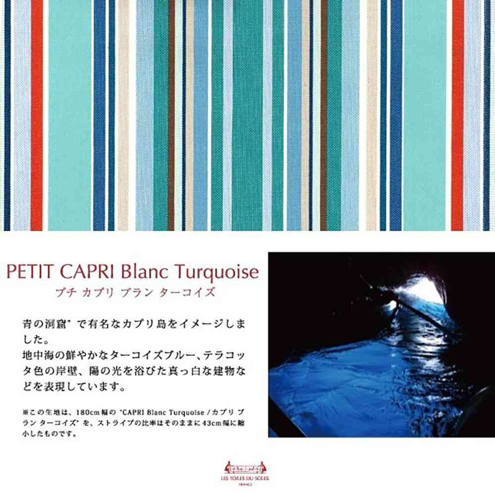 LTDSJapon Imabari Towel Handkerchief Petit Capri Blanc Turquoise 1 Piece