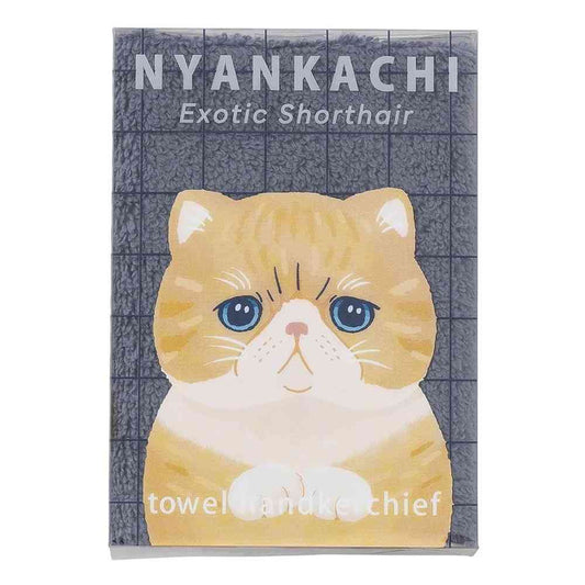 Ribuhato Handkerchief Towel Exotic Shorthair