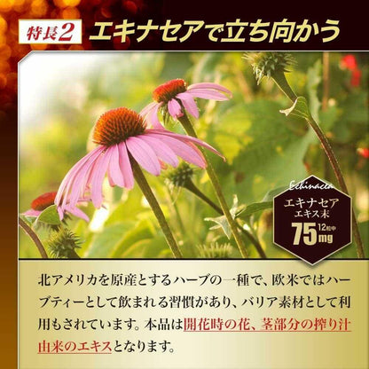 Yuuki Pharmaceutical Water-Soluble Agaricus DX 360 Tablets