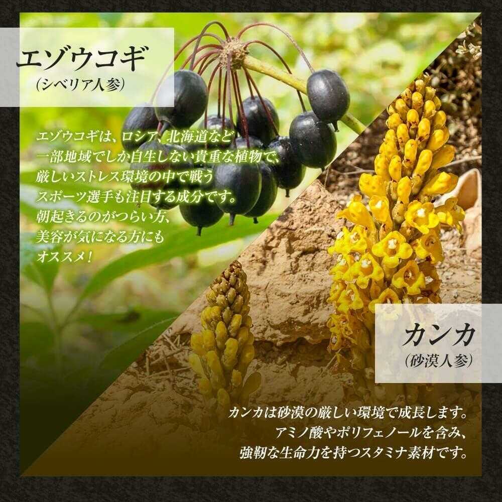 Yuuki Pharmaceutical Korean Ginseng Capsules 120 Capsules