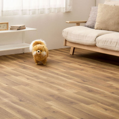 Pet-Friendly CF Carpet 6 Tatami Mats Oak