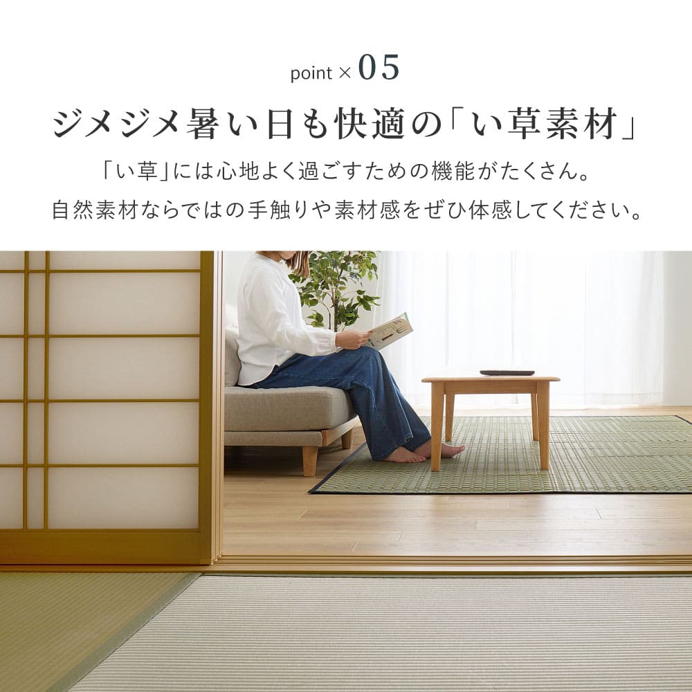 Igusa Carpet Kiyosumi Edo 8 Tatami Blue