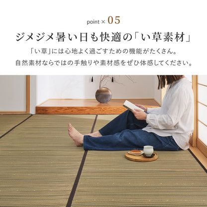 Igusa Carpet (Backed) Suzumi Edo 6 Tatami Brown