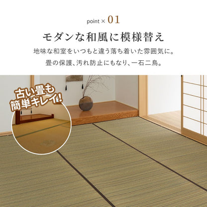 Igusa Carpet (Backed) Cool Edo Room 8 Tatami Brown