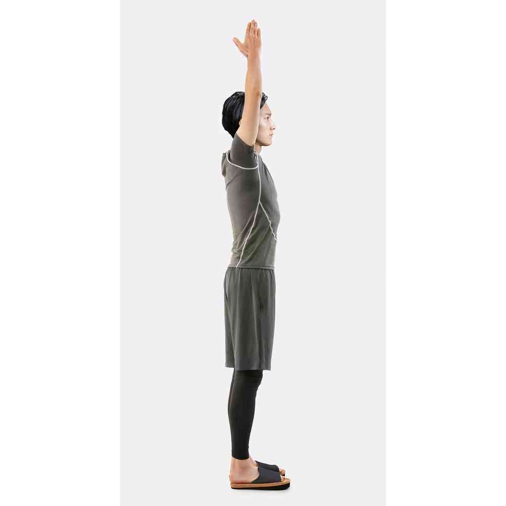 Alphax Slillet Y-TYPE (1 Pair)