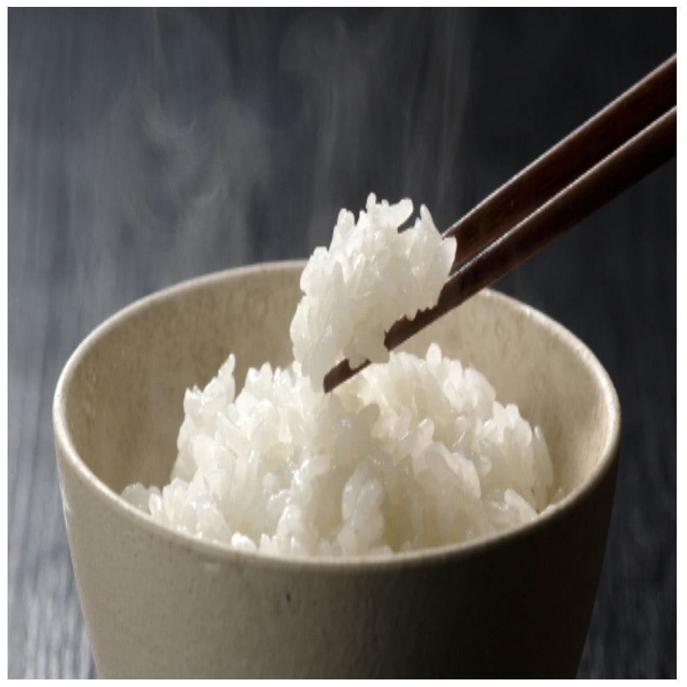 Yukion Seihou Ice Temperature Aged Niigata Shin-Nosuke 2kg