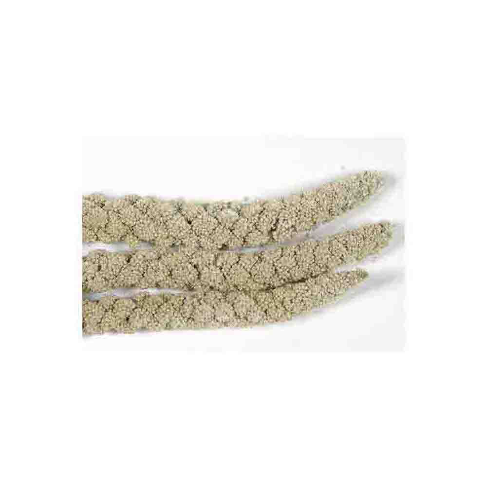 Arata Millet Sprays Bulk 400g