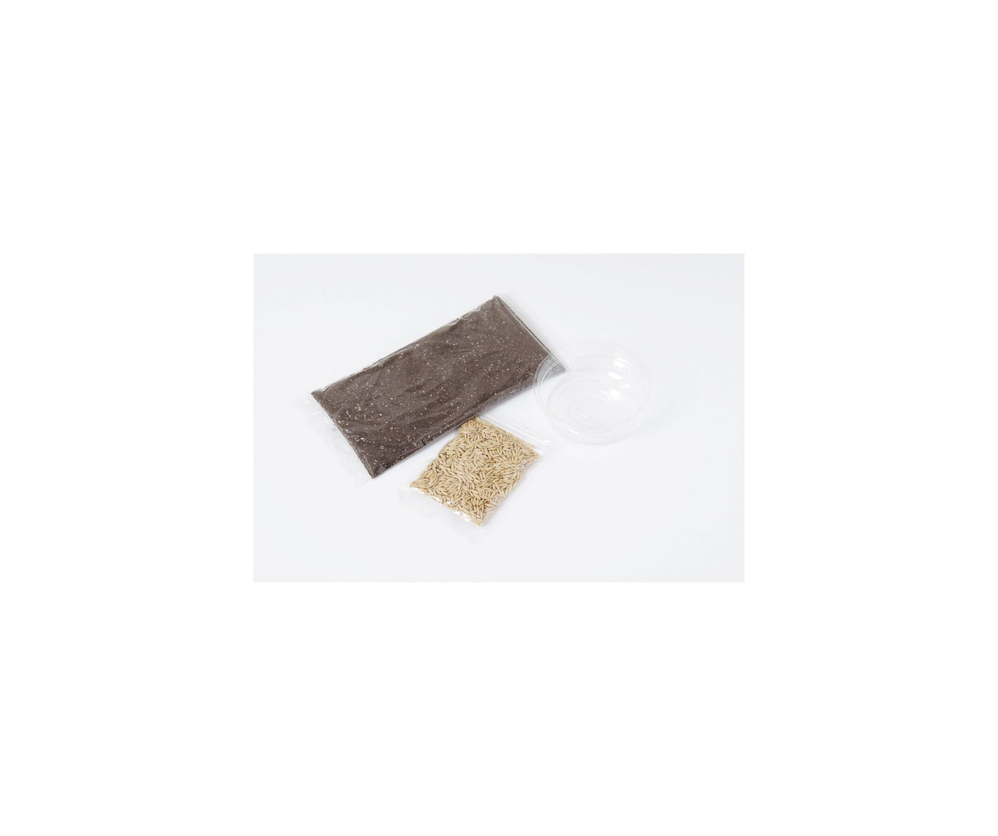 Arata Cat Grass Growing Set 3 servings