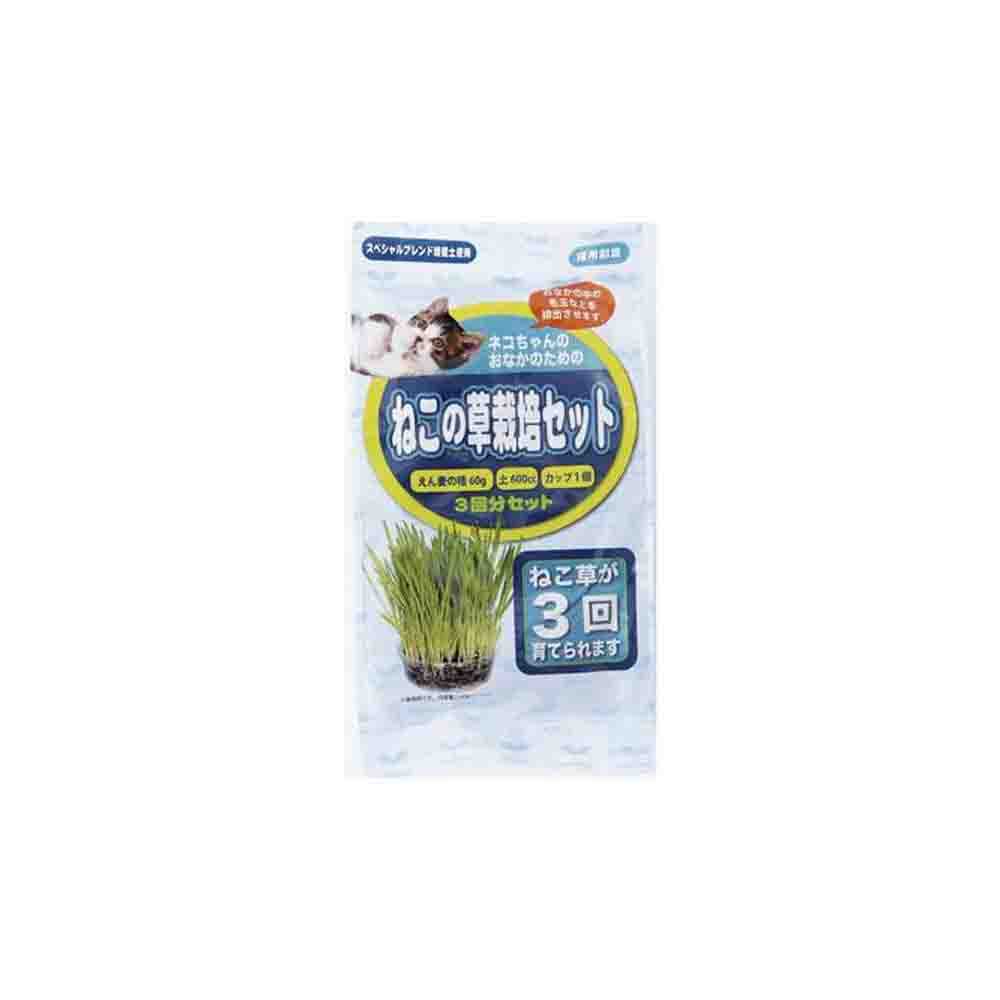Arata Cat Grass Growing Set 3 servings