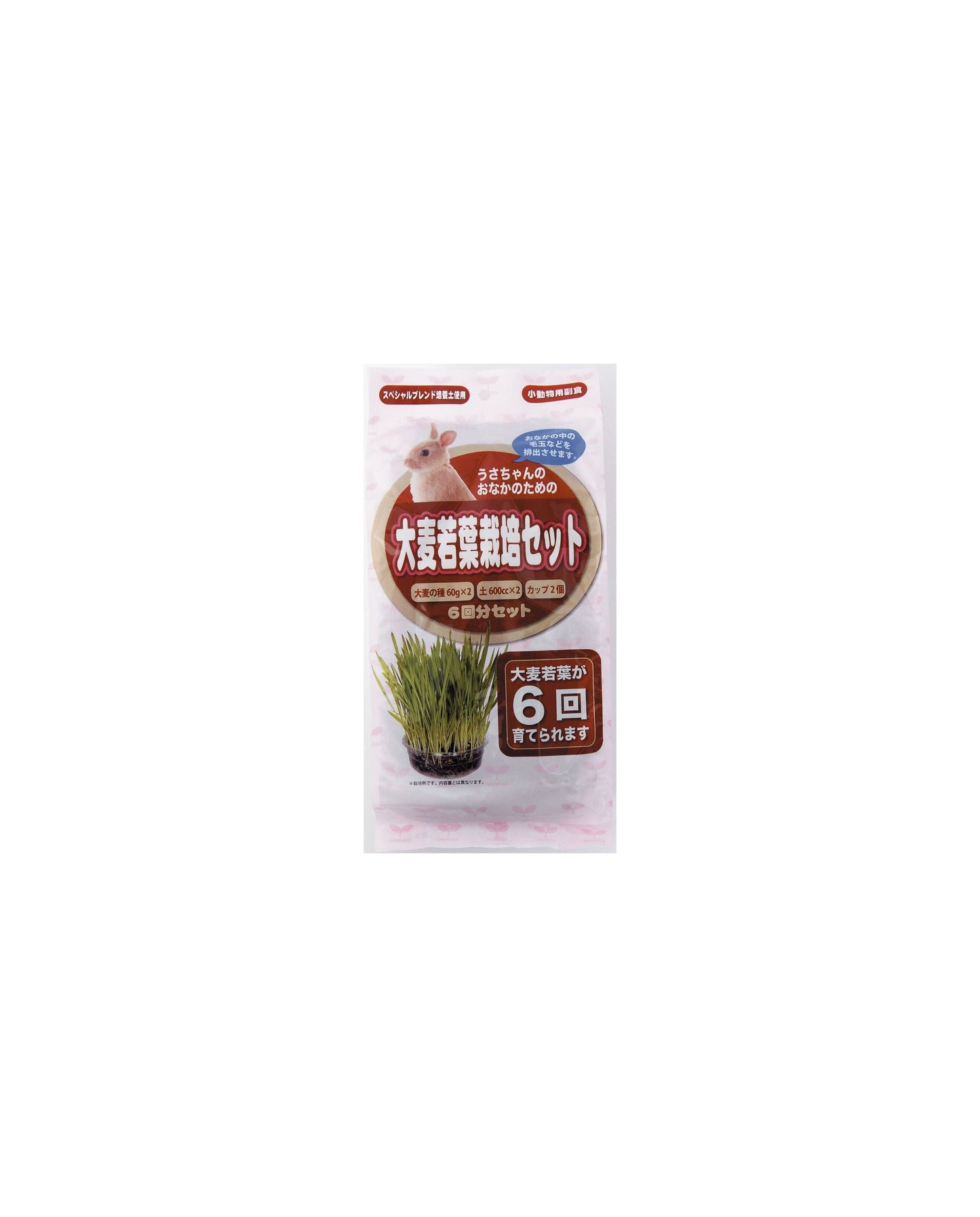 Arata Rabbit Barley Growing Set 6 servings