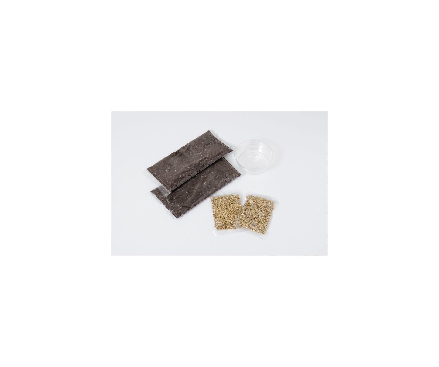 Arata Rabbit Barley Growing Set 6 servings