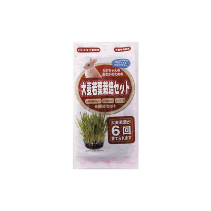 Arata Rabbit Barley Growing Set 6 servings