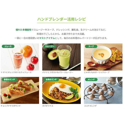 Slim & Light Multi Hand Blender Grater Disk HB704WJ