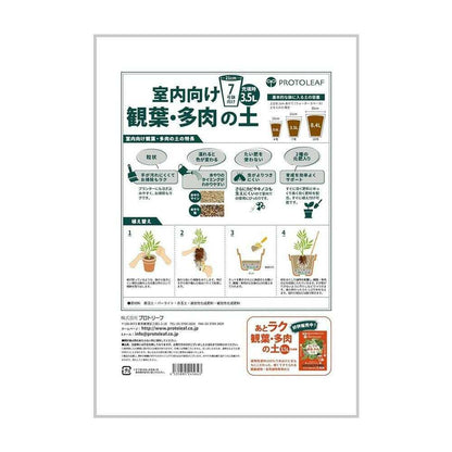 Protree Indoor Plant & Succulent Soil for 7号 Pot 3.5L