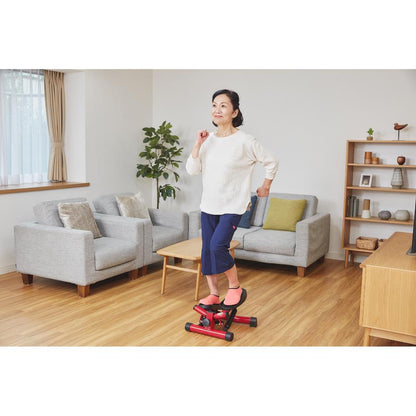 Health Stepper Nice Day Black NICE-WS2