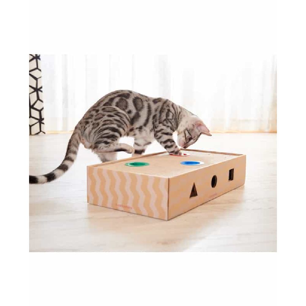Aim Creates Nyanko Lobby Box Type Natural