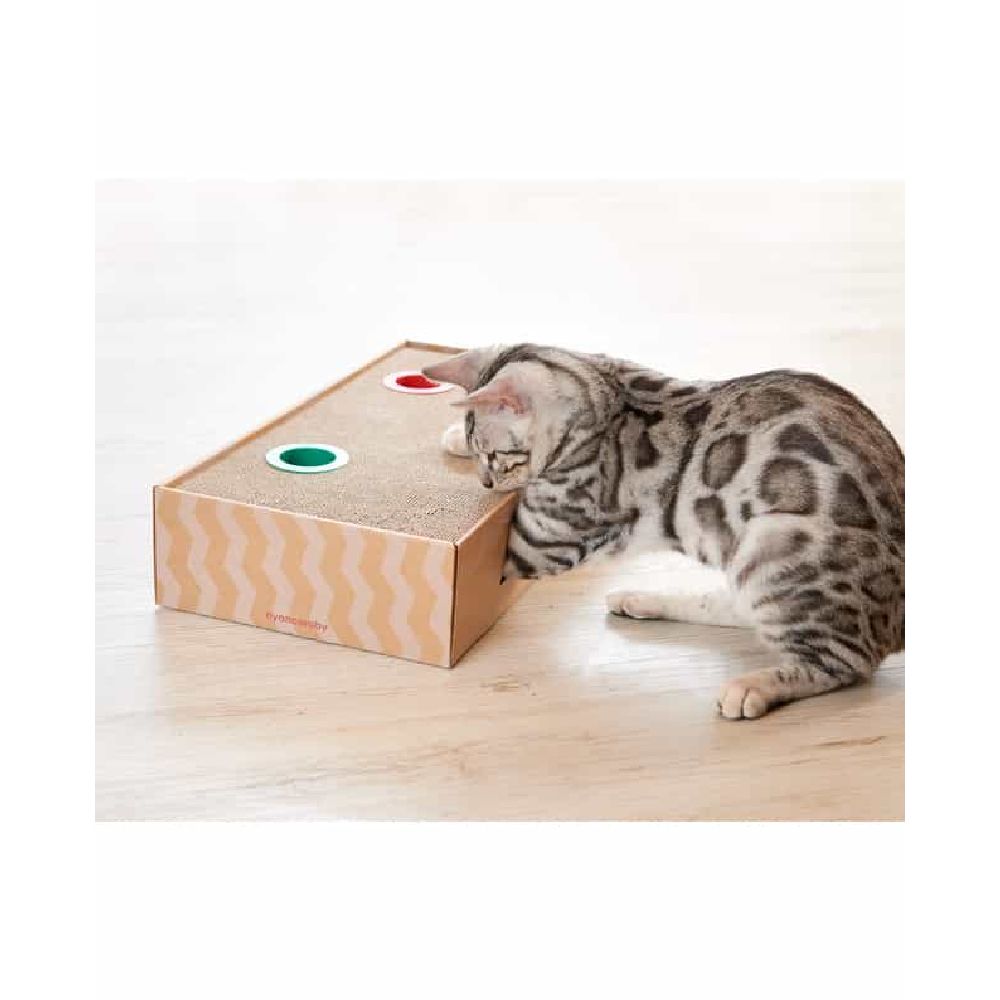 Aim Creates Nyanko Lobby Box Type Natural