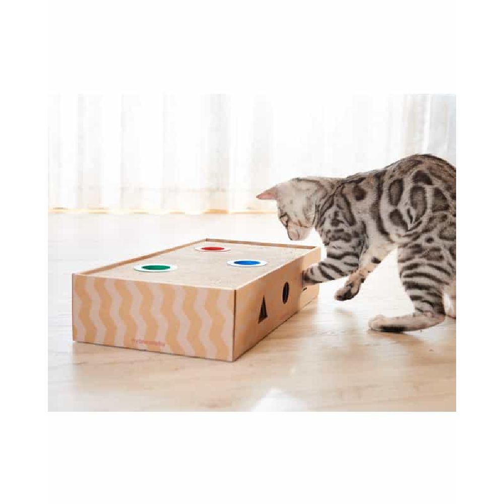 Aim Creates Nyanko Lobby Box Type Natural