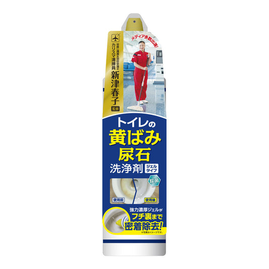 Aion (Haruko Niitsu) Toilet Stain and Urine Scale Cleaner Gel Type