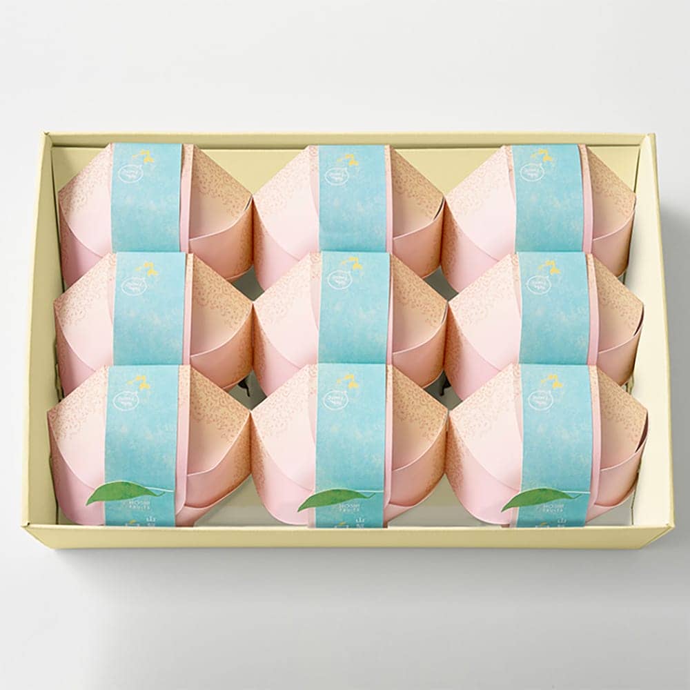 Hoshi Fruits Yamanashi White Peach Jelly