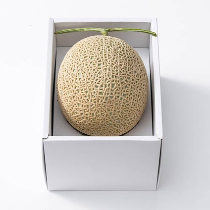 Hoshi Fruits Assorted Seasonal Fruit Box AN
