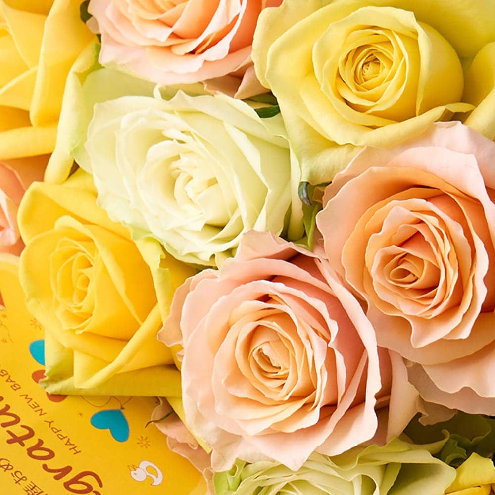 Hoshi Farm Baby Rose Nico Passion 12 Stems