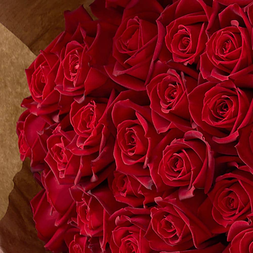 Deep Red Roses Samurai 60 Stems Bouquet