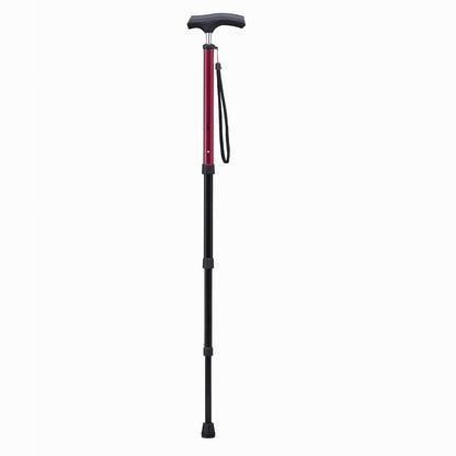 Aizō Pocket Stick PS-2