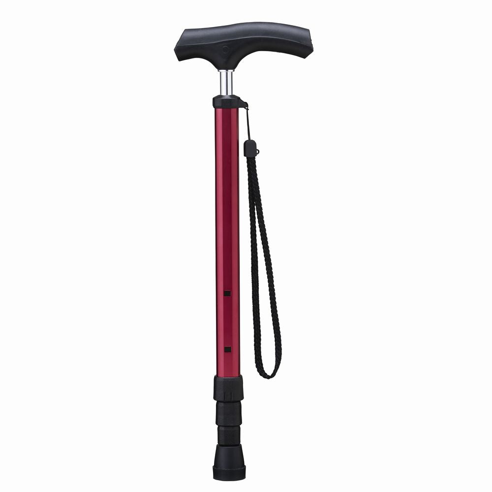 Aizō Pocket Stick PS-2