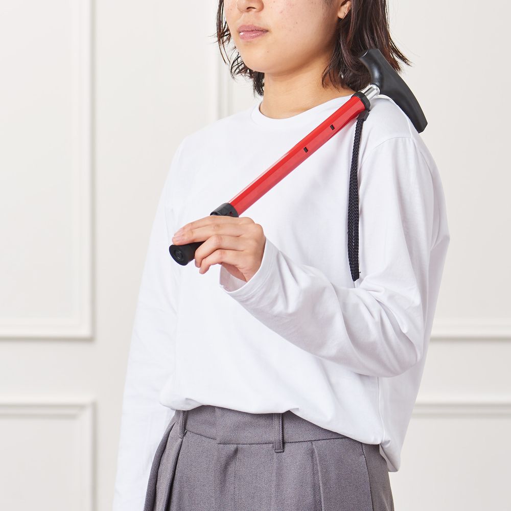 Aizō Pocket Stick PS-2